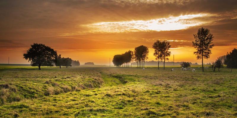 应急管理新范式：济南创新视角下的工业互联网标识解析体系安全防护与风险评估