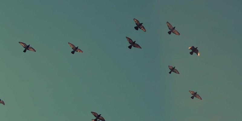 济南创新安全1：构建三位一体现代安全管理体系