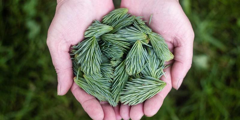 济南创新安全21：构建现代化安全体系，赋能企业稳健发展