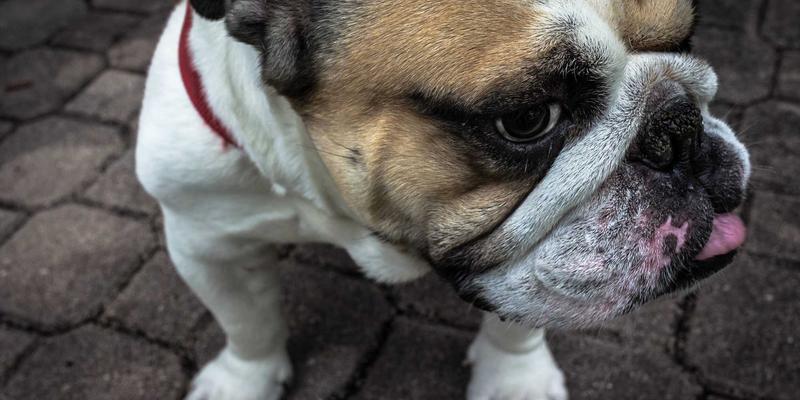 济南创新安全44:构筑现代化应急管理体系与风险评估新范式