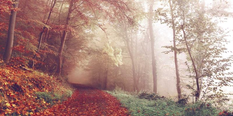 济南创新安全80:以科技赋能应急管理与安全生产新范式