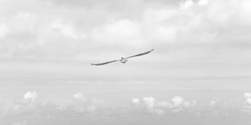 济南创新安全与农业安全：智慧农业大棚的灾害预警、环境调控与生物安全防控实践