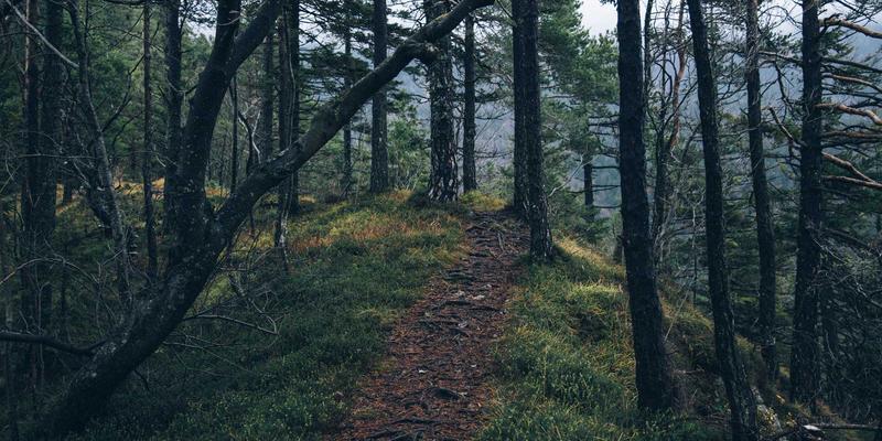 济南创新安全：人工智能如何重塑化工园区风险预警与应急决策新范式