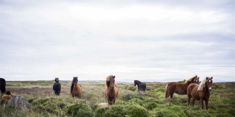 济南创新安全：智慧水务中的供水管网泄漏监测与水质安全预警实践