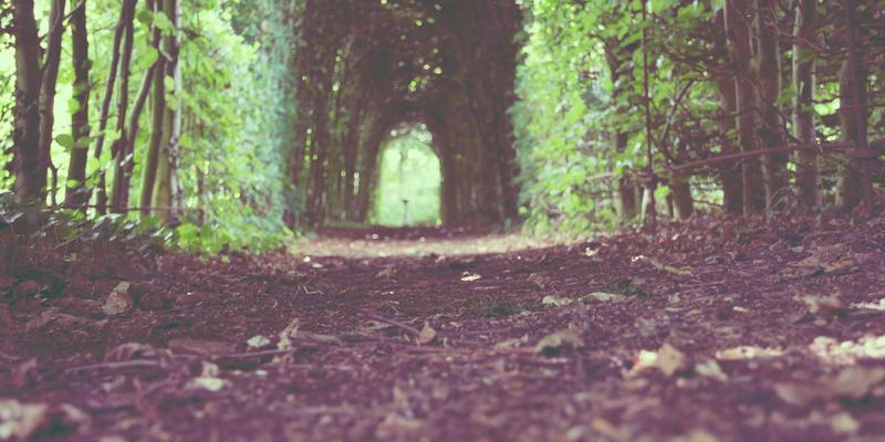 筑牢安全防线：济南市安全科技创新平台建设与产学研协同机制探索